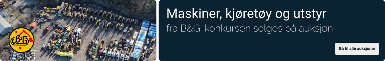 Kampanjebanner på Auksjonen.no