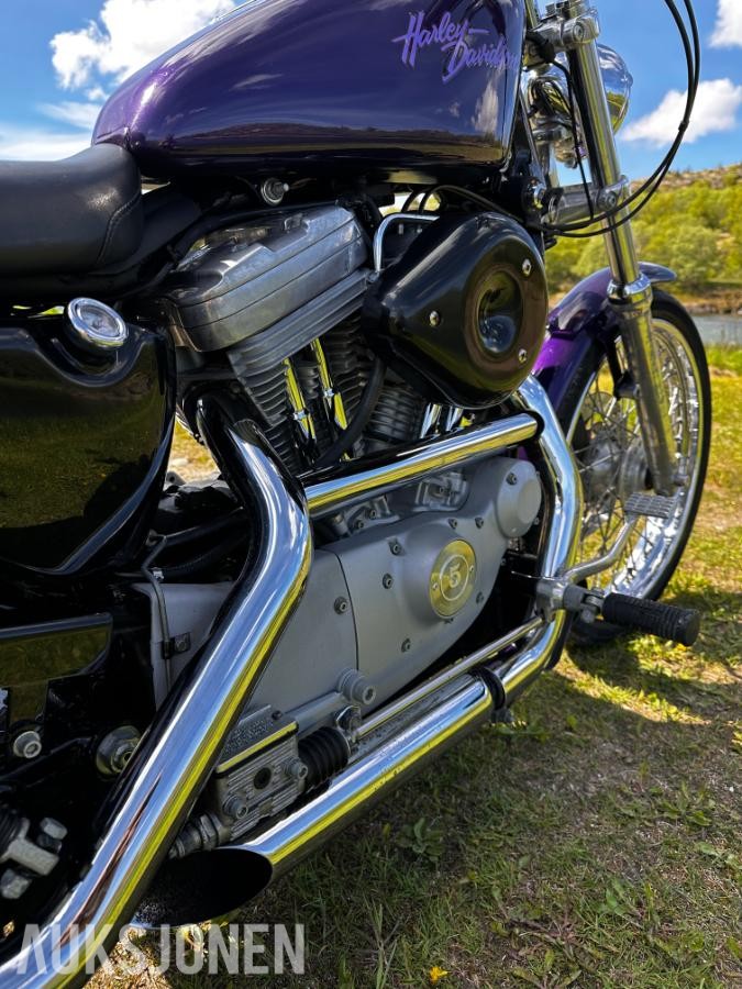 2000 Harley-Davidson XL 883 Sportster