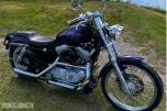 2000 Harley-Davidson XL 883 Sportster