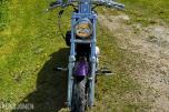 2000 Harley-Davidson XL 883 Sportster