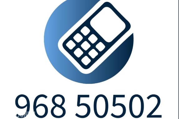 Gullnummer selges: 96850502