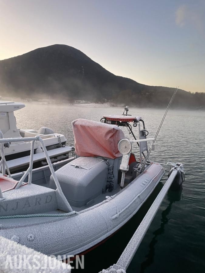 2007 Alusafe Springer MP660