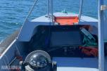 2007 Alusafe Springer MP660