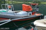 2007 Alusafe Springer MP660