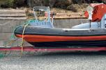 2007 Alusafe Springer MP660