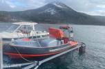 2007 Alusafe Springer MP660
