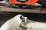 2007 Alusafe Springer MP660