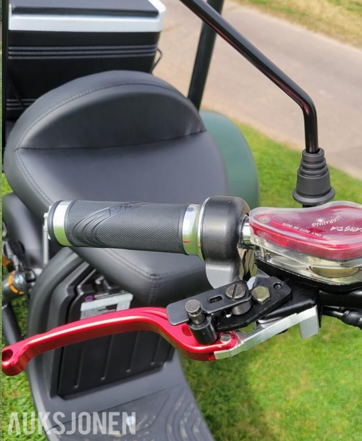 2026 Golfscooter 3-hjuls Fat tire