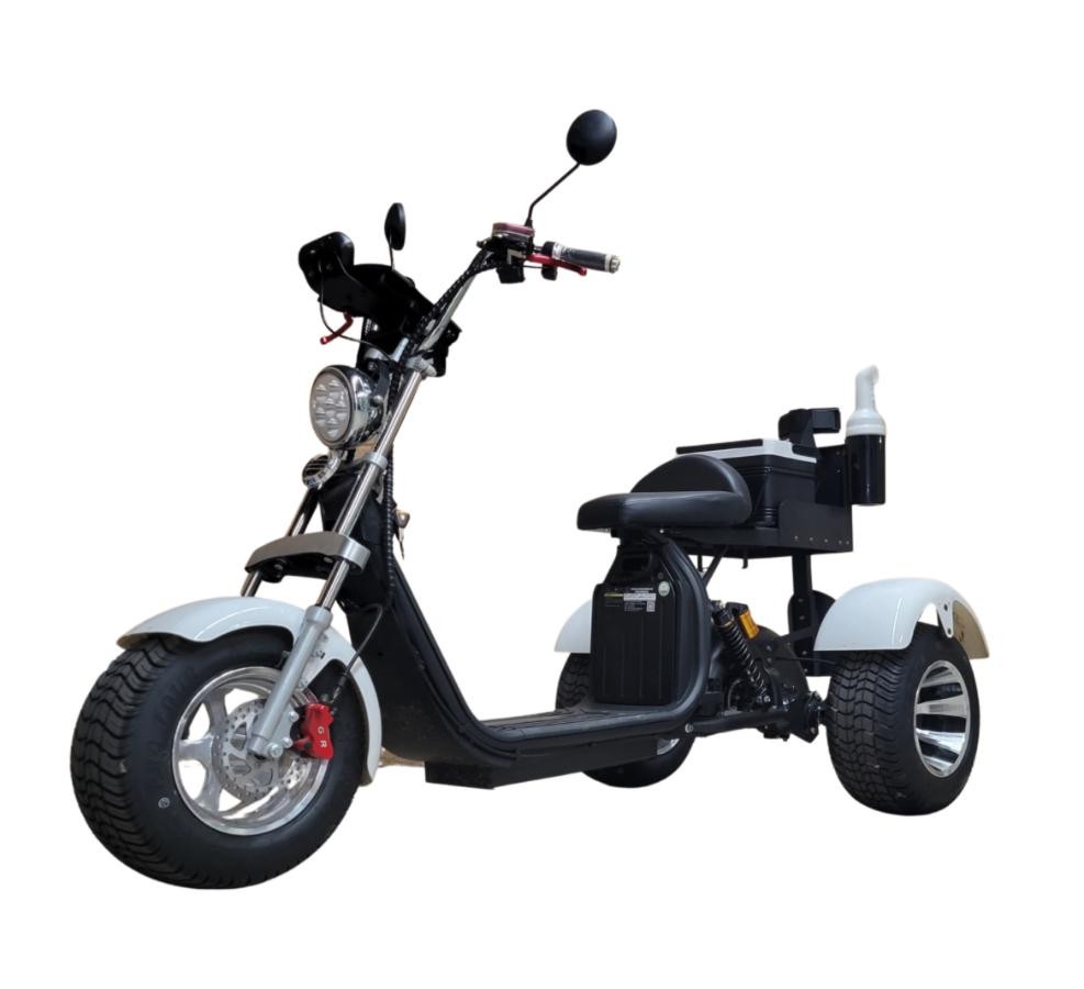 2026 Golfscooter 3-hjuls Fat tire
