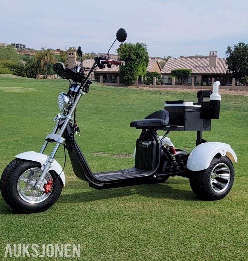 2026 Golfscooter 3-hjuls Fat tire