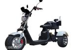 2026 Golfscooter 3-hjuls Fat tire