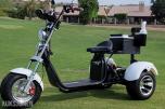 2026 Golfscooter 3-hjuls Fat tire