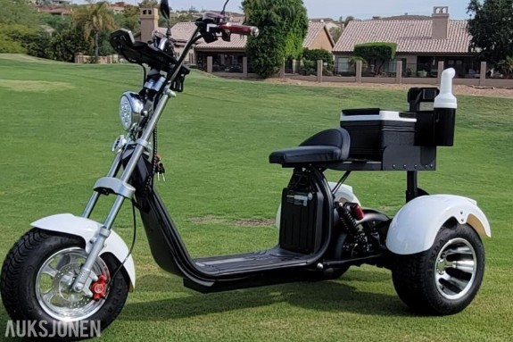 2026 Golfscooter 3-hjuls Fat tire