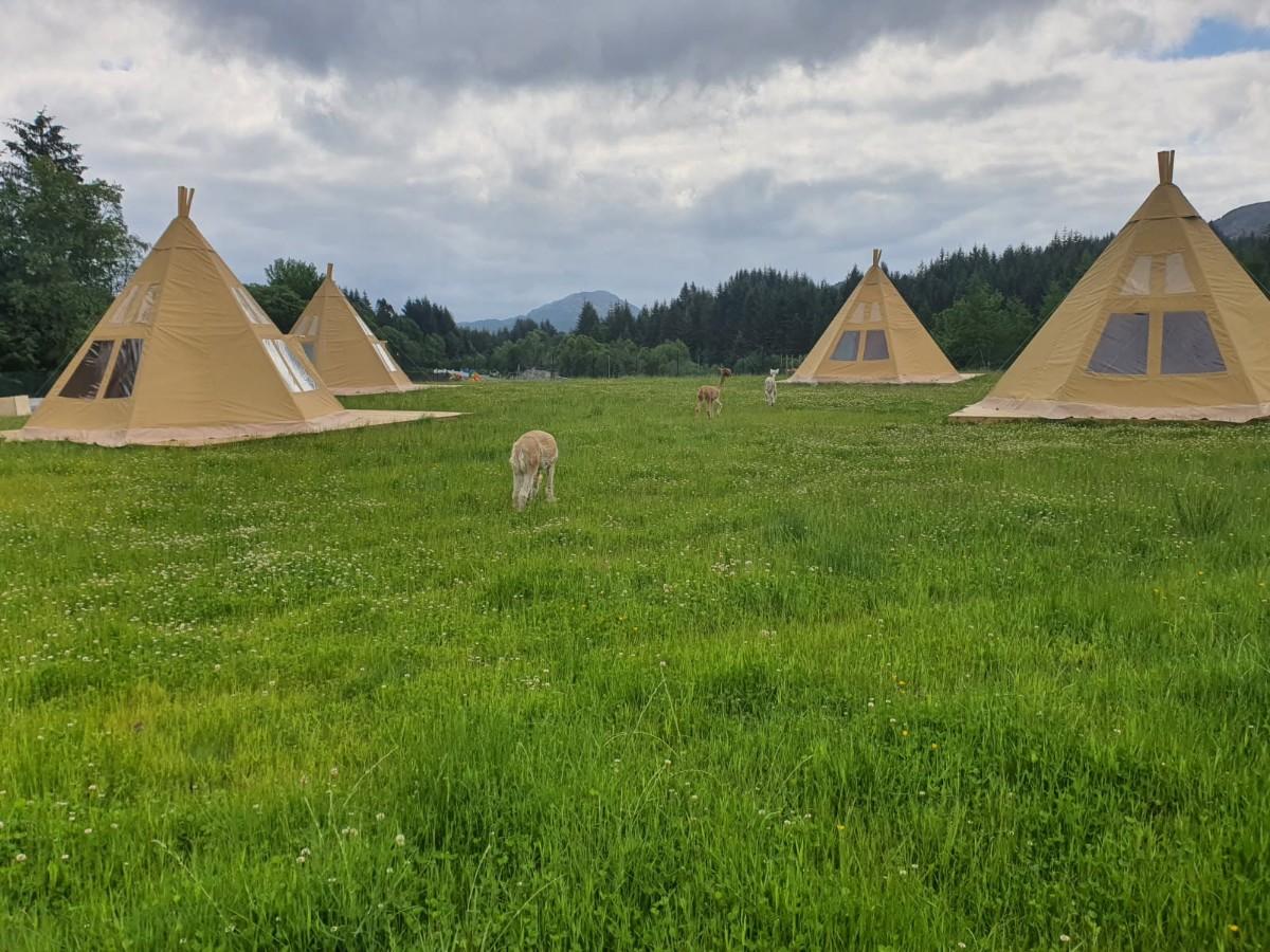 Glamping Luksustelt - 6.6x6.6x4.3– Fire-sesong – Ubrukt