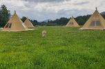 Glamping Luksustelt - 6.6x6.6x4.3– Fire-sesong – Ubrukt
