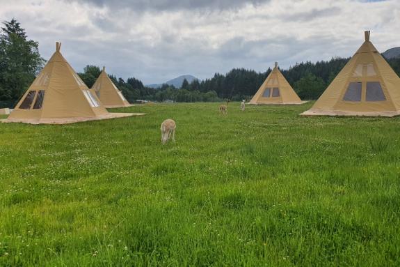 Glamping Luksustelt - 6.6x6.6x4.3– Fire-sesong – Ubrukt