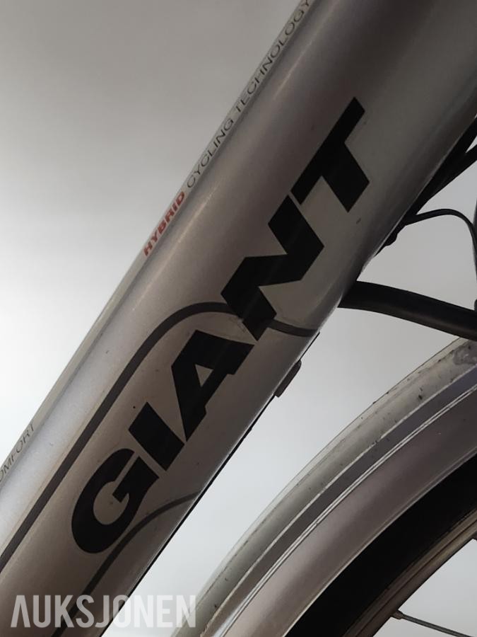 2011 Giant Twist Comfort EL-sykkel
