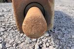 2020 General Breaker Pigghammer 6LT - S60-Feste