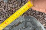 Dieseltank 1000 liter med ca 500 liter diesel