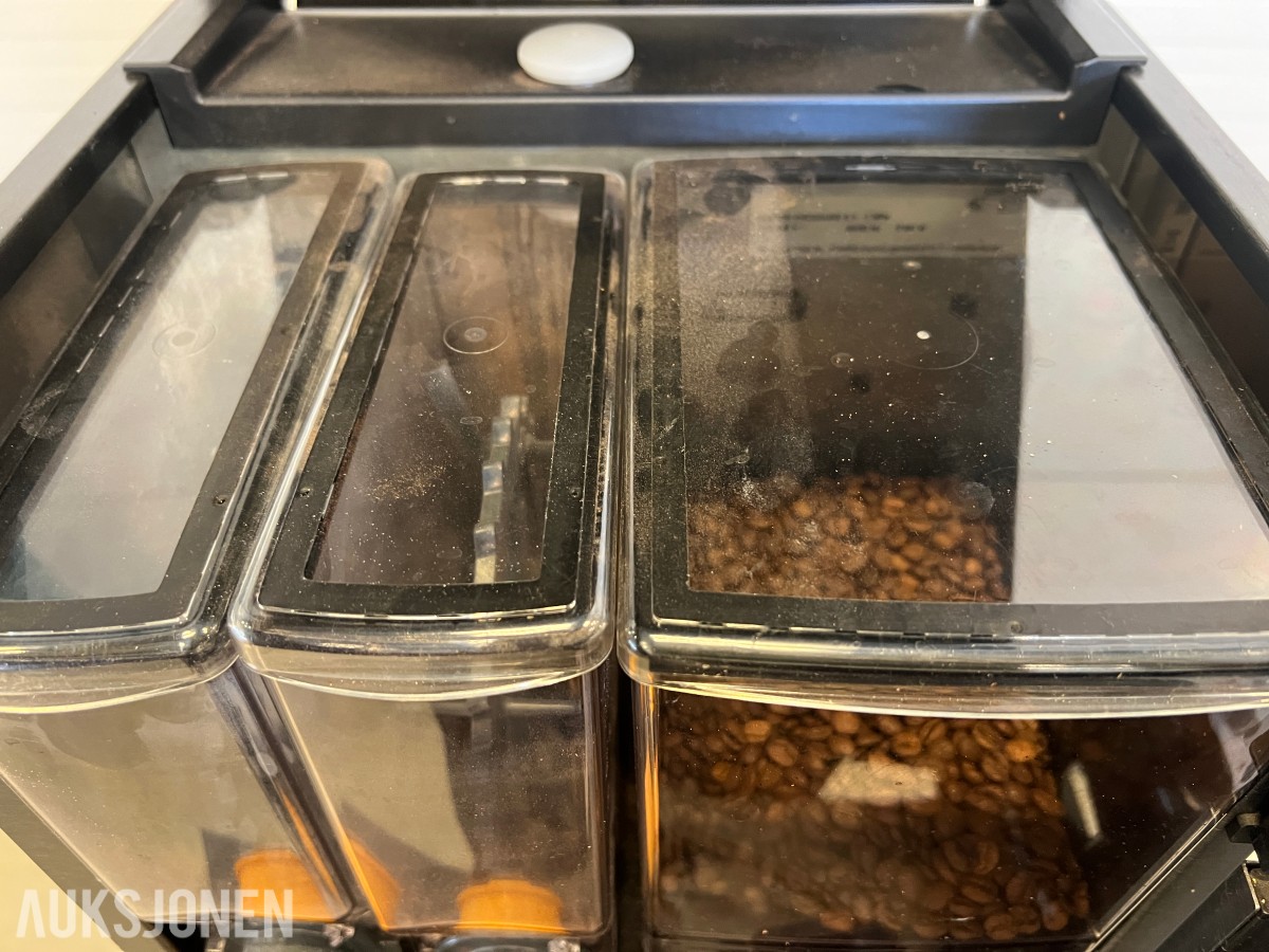 2022 E-SEGO 12 BEAN TO CUP 
