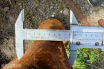 Rensepigg med S feste ca 290 cm
