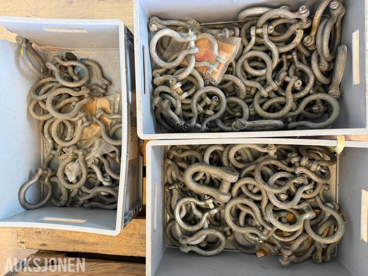 135 stk sjakler og 100+ pigghakker