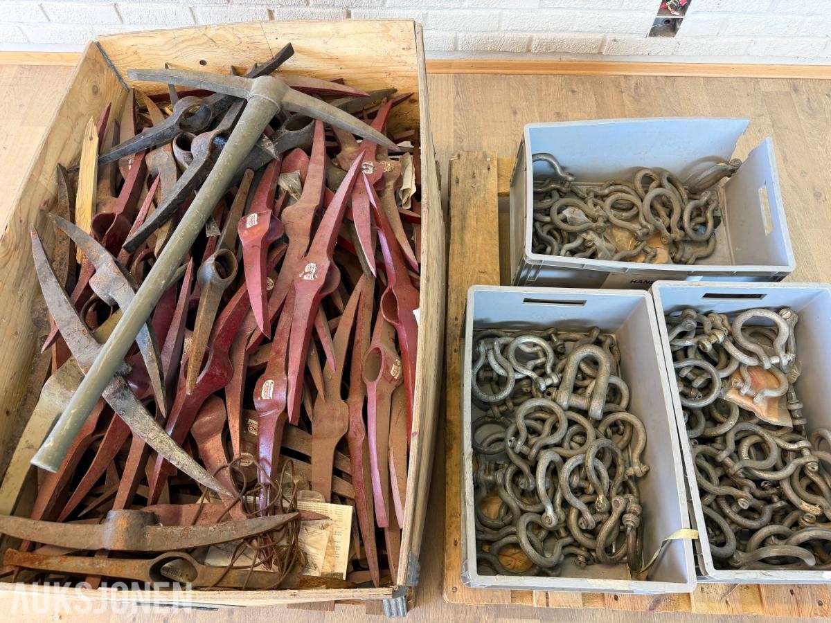 135 stk sjakler og 100+ pigghakker