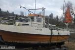 1984 Myra 22 sjark
