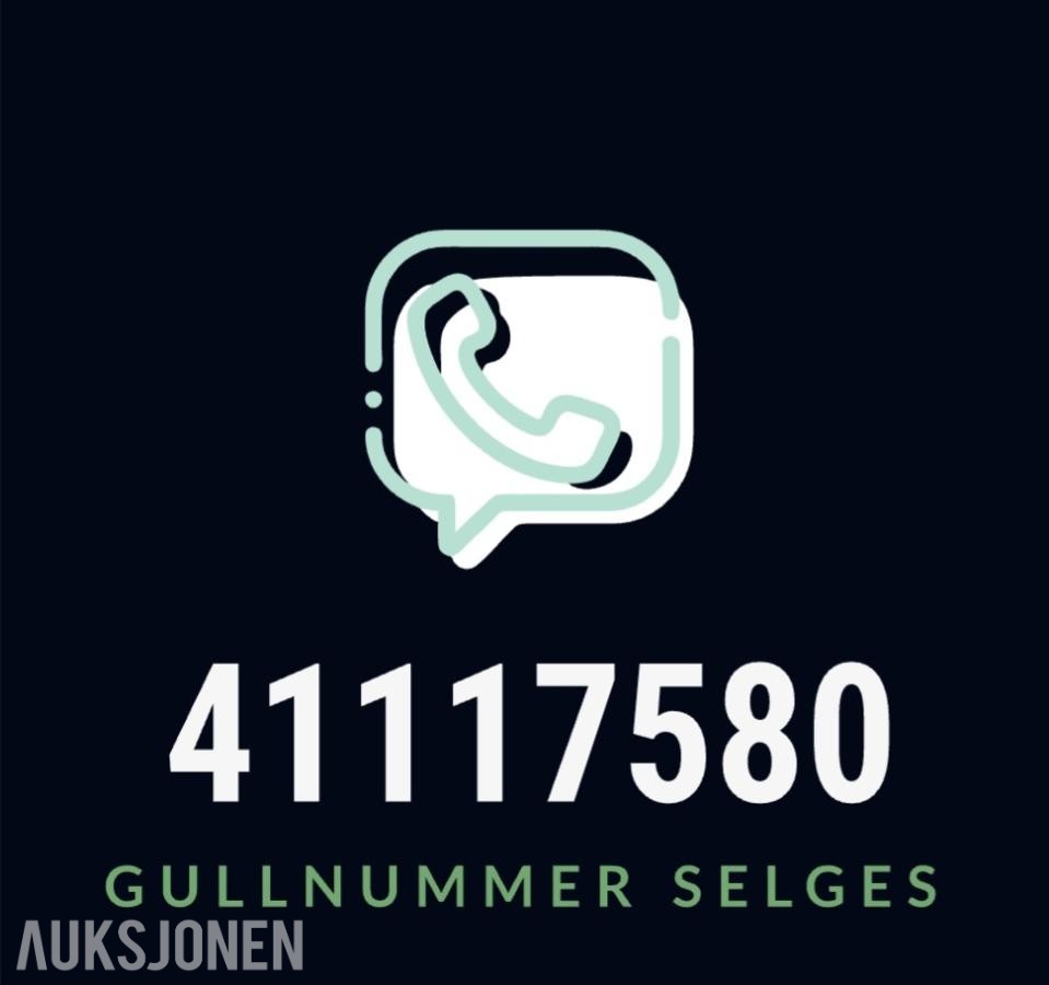GULLNUMMER SELGES: 41117580