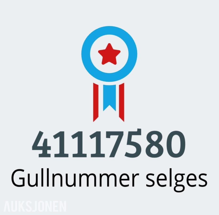 GULLNUMMER SELGES: 41117580