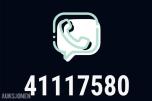 GULLNUMMER SELGES: 41117580