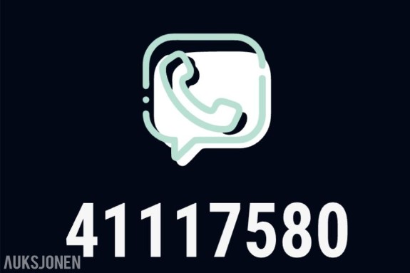 GULLNUMMER SELGES: 41117580
