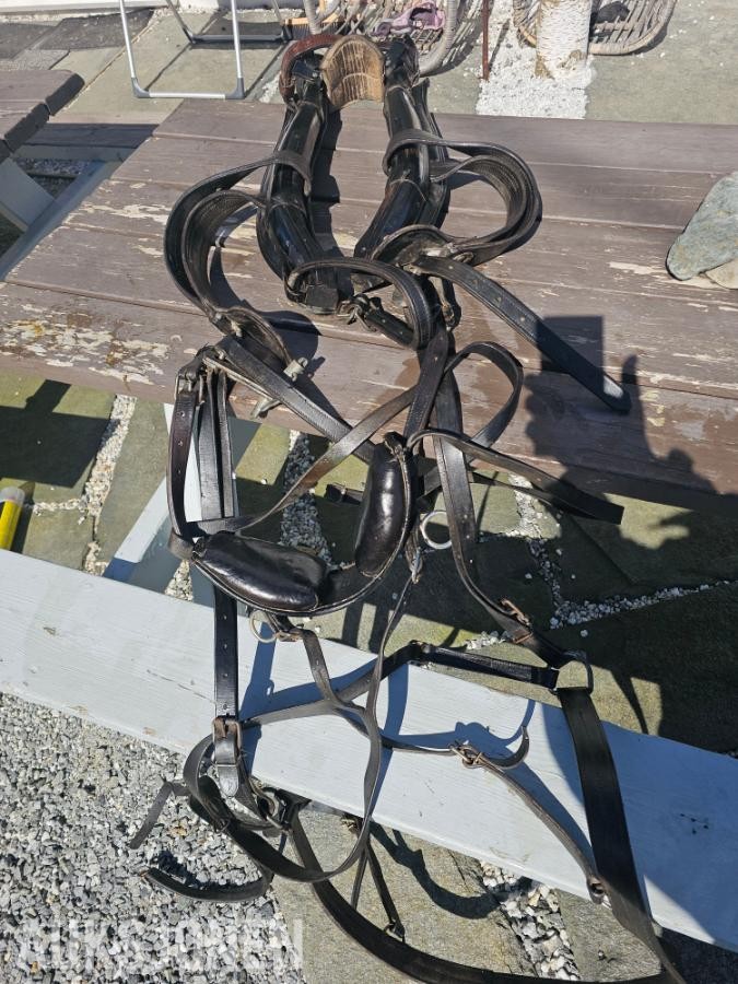 2001 Arbeidssele til hest Arbeidssele til hest