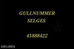 GULLNUMMER SELGES: 41888422