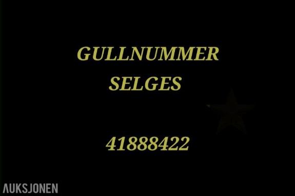 GULLNUMMER SELGES: 41888422