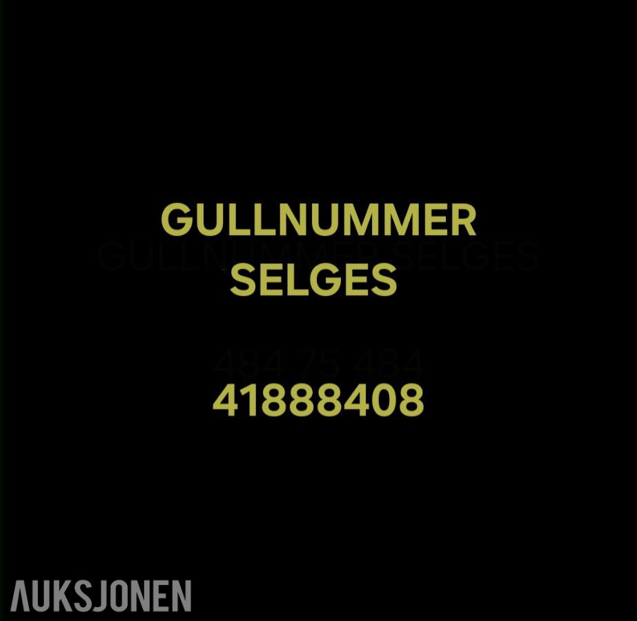 GULLNUMMER SELGES: 41888408