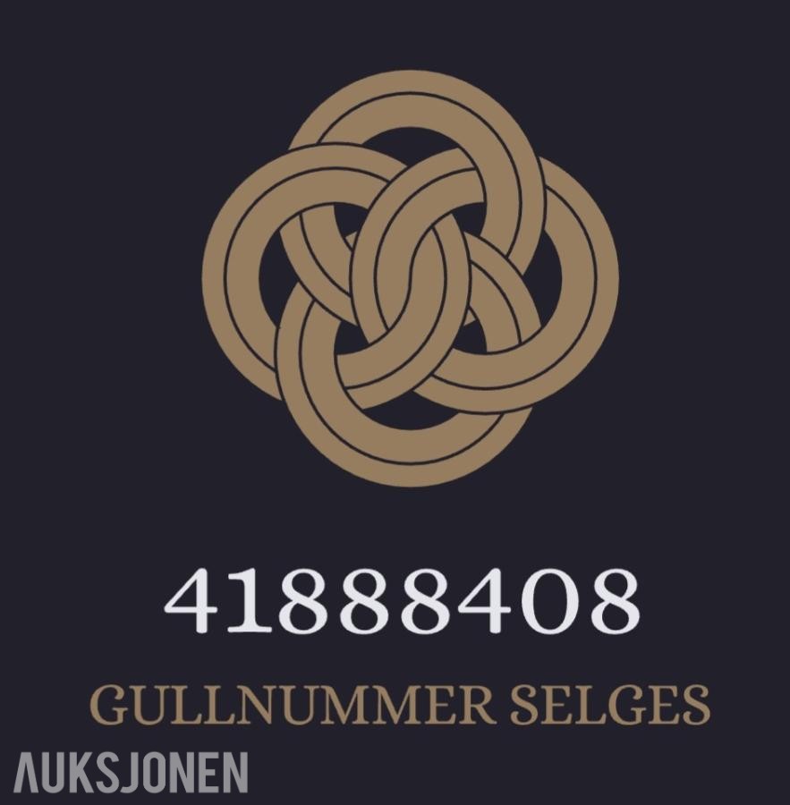 GULLNUMMER SELGES: 41888408