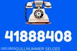 GULLNUMMER SELGES: 41888408