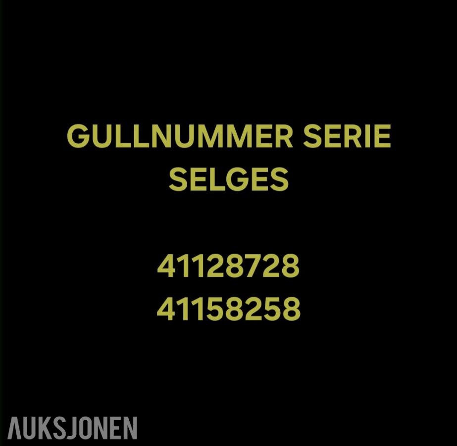 GULLNUMMER SERIE: 41128728 / 41158258