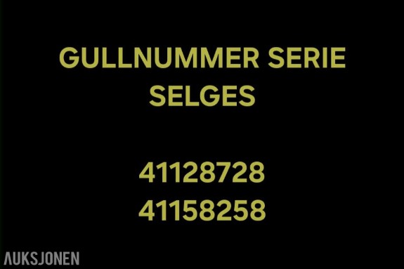 GULLNUMMER SERIE: 41128728 / 41158258