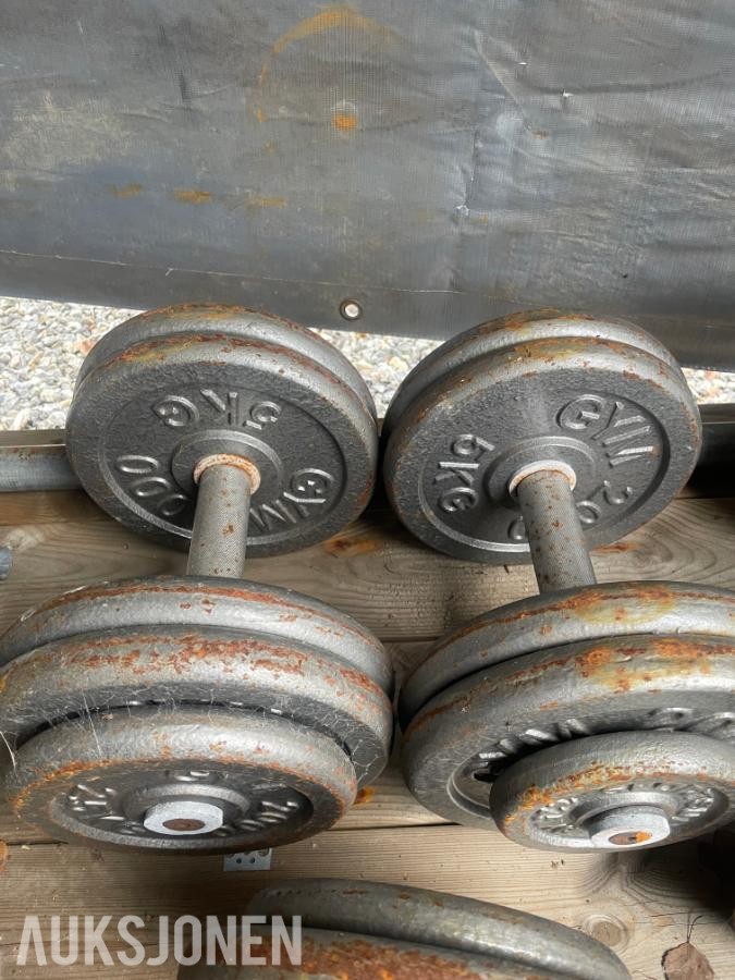 GYM 2000 -  Diverse  vekter