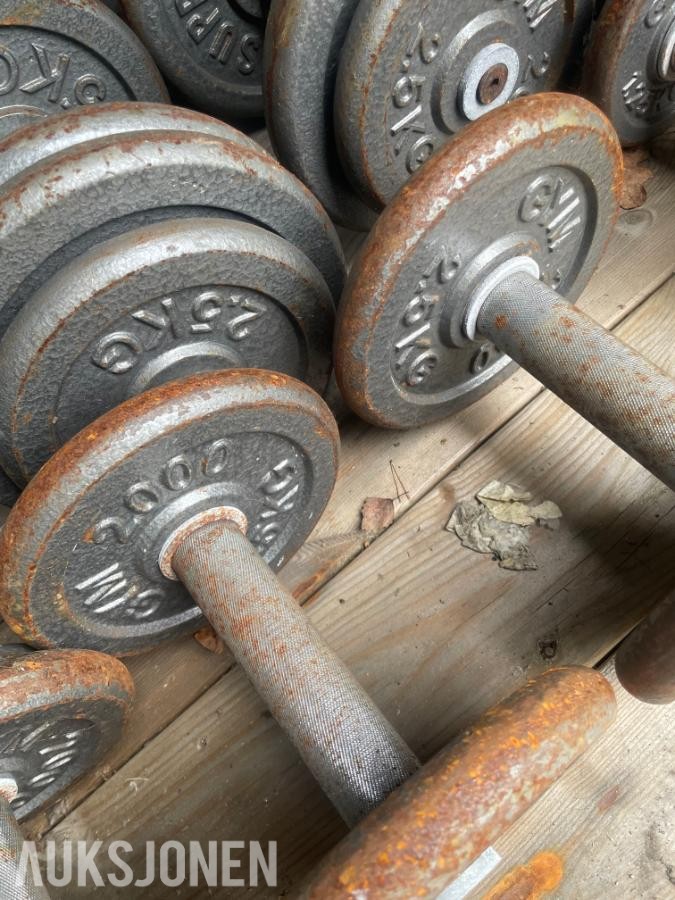 GYM 2000 -  Diverse  vekter