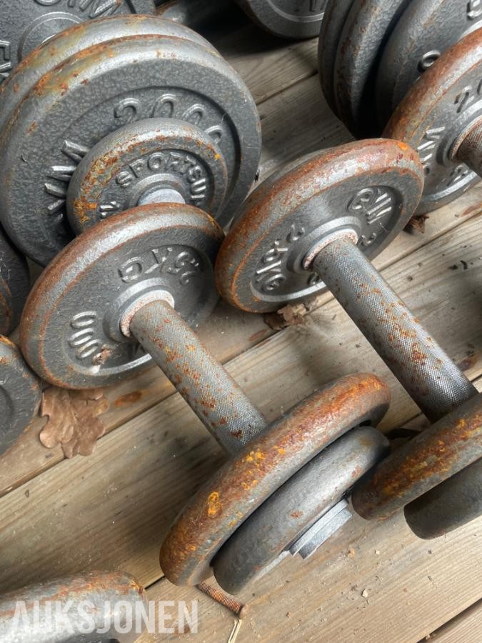GYM 2000 -  Diverse  vekter
