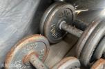 GYM 2000 -  Diverse  vekter