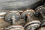 GYM 2000 -  Diverse  vekter