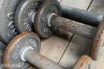 GYM 2000 -  Diverse  vekter