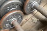 GYM 2000 -  Diverse  vekter