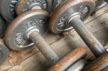 GYM 2000 -  Diverse  vekter