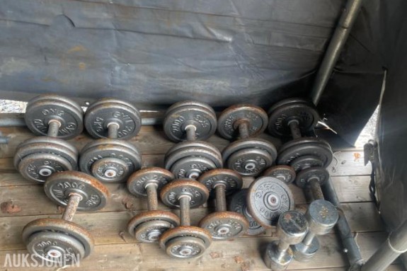 GYM 2000 -  Diverse  vekter