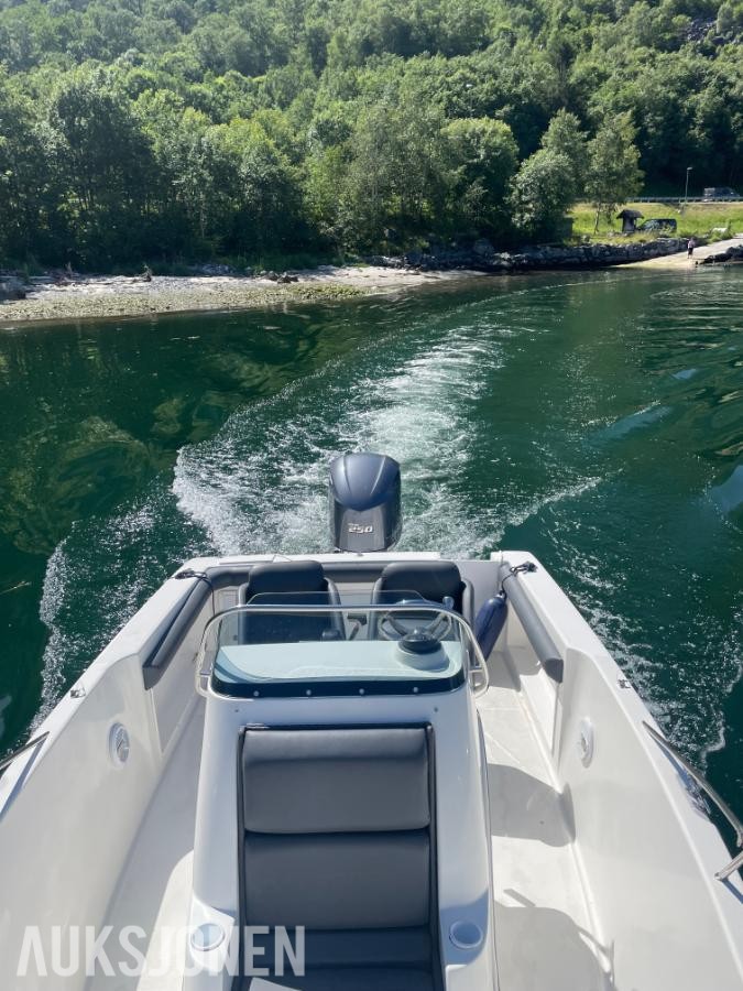 1995 Wellcraft 24 båt med  Yamaha 4,2 L 225 hk